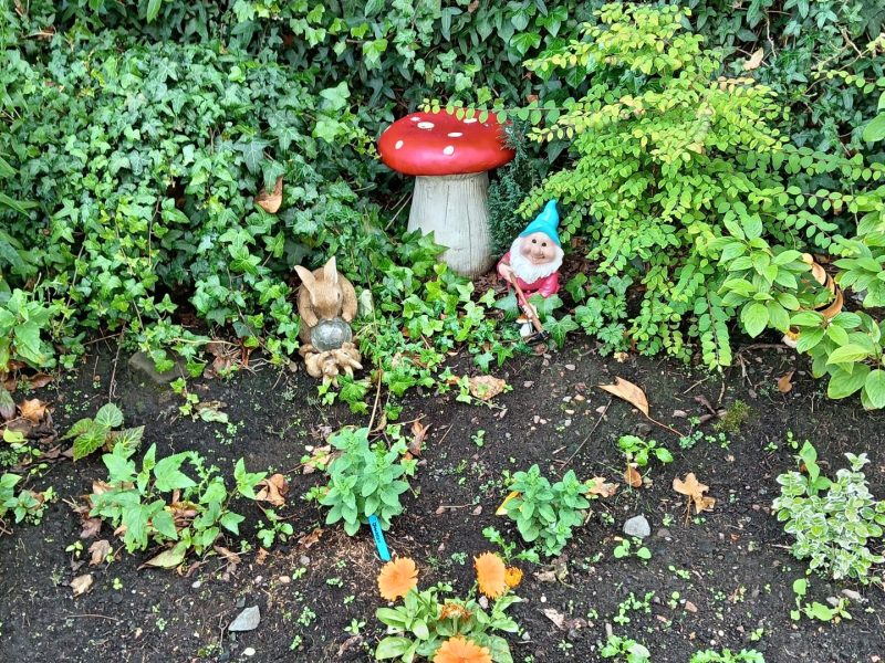 Garden 2