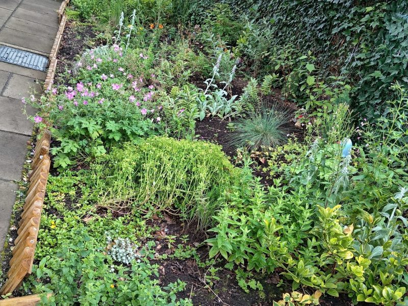 Garden 3